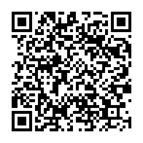 正しい相続相談センター